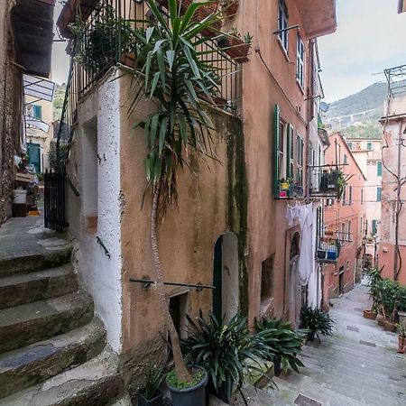The Captain'S House مونتيروسّو ال ماري المظهر الخارجي الصورة
